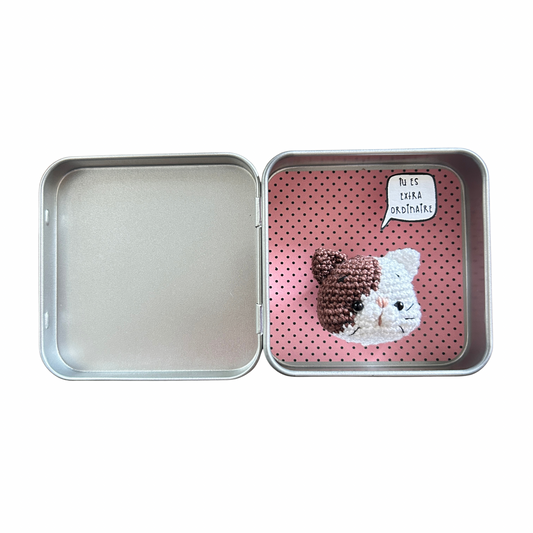 Boîte réconfort minute " tu es extraordinaire " Papier clémentine