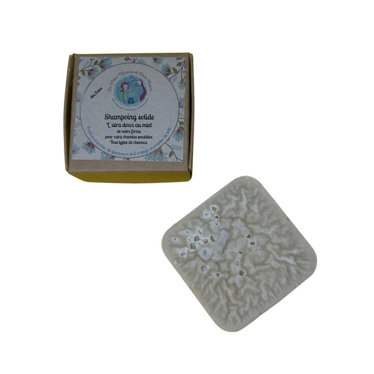 Shampoing solide Les p’tites mixtures de dame nature